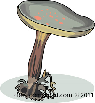 mushroom_91109.jpg