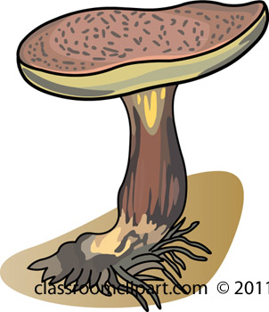 mushroom_91109C.jpg