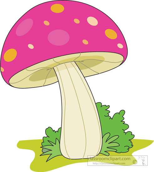 mushroom_pink_01.jpg