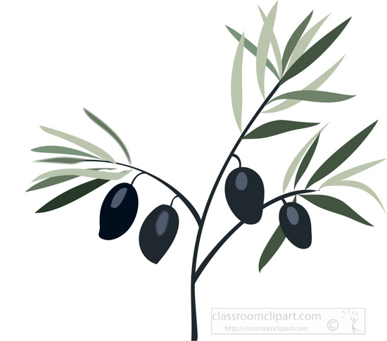 black-olive-surrounded-by-leaves-on-tree-branch-clipart.jpg