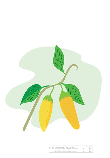 yellow-pepper-plant-clipart.jpg