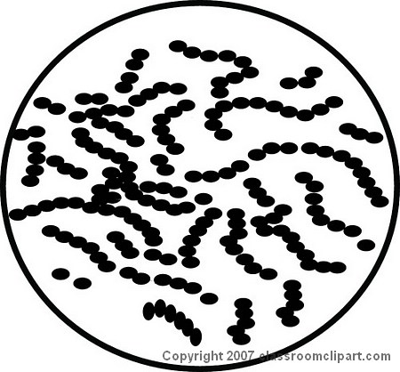 bacteria_streptococcus_bw.jpg