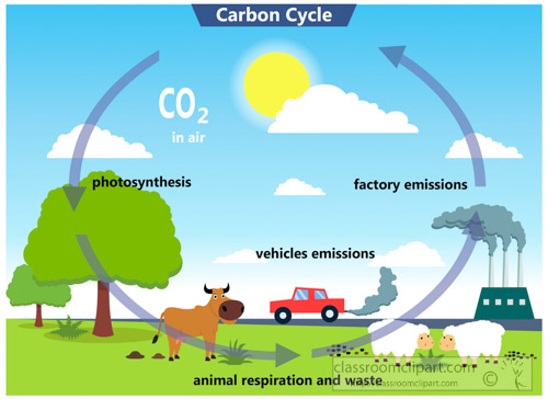 carbon-cycle-clipart.jpg