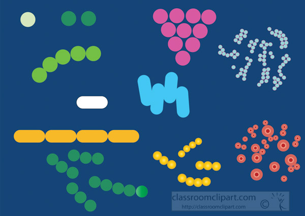 different-types-and-shapes-of-bacteria-vector-clipart.jpg