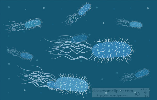 many-bacteria-with-flagella-and-pili-vector-clipart.jpg