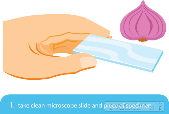 preparing-cell-wet-mount-for-use-in-a-microscope-step-1-clipart.jpg