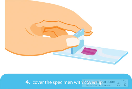 preparing-cell-wet-mount-for-use-in-a-microscope-step-4-clipart.jpg