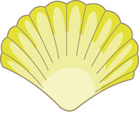 Free SeaShells Clipart - Clip Art Pictures - Graphics - Illustrations