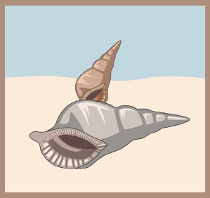 sea-shell-on-sand-clipart-135.jpg