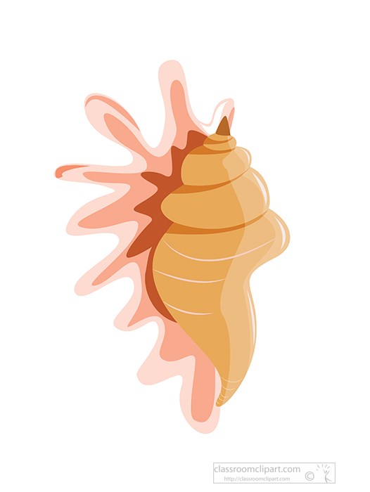 small-conch-seashell-on-white-background-clipart.jpg