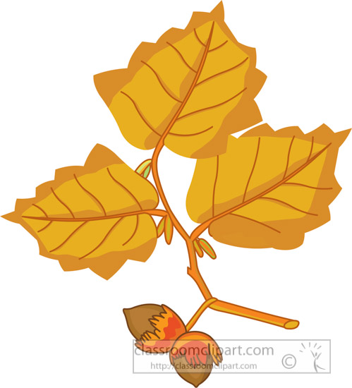 fall-folliage-yellow-brown-leaf-clipart-131109.jpg