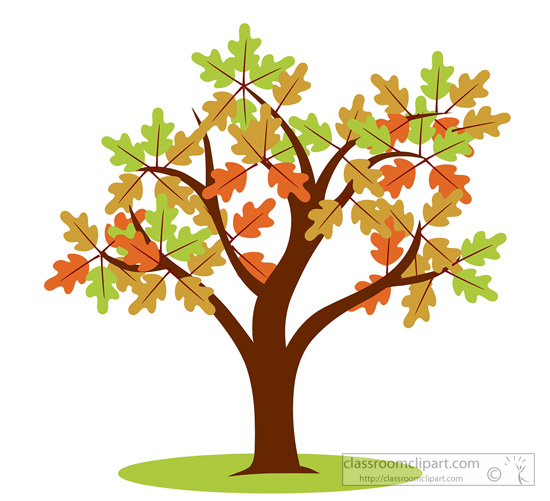 oak-tree-fall-foliage-14.jpg
