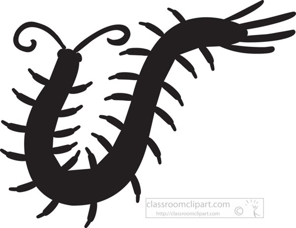 arthropod-millipede-silhouette-clipart-720.jpg
