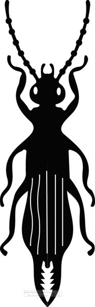 beetle-insect-silhouette-clipart-11.jpg