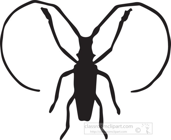 beetle-silhouette-insect-clipart.jpg