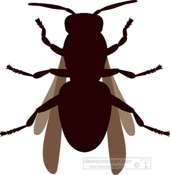 flying-hornet-insect-silhouette-clipart.jpg
