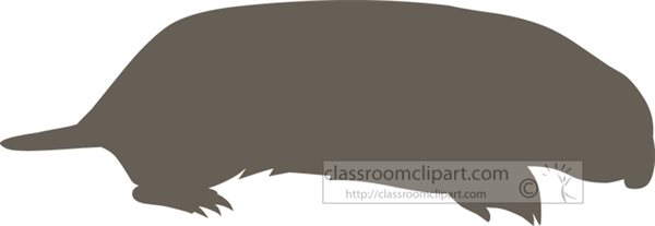 marsupial-mole-silhouette.jpg