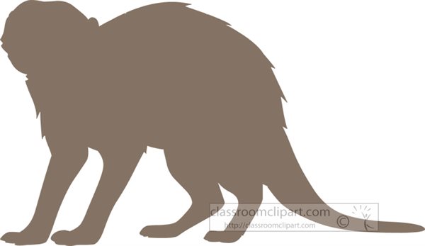 meerkat-animal-silhouette-713.jpg