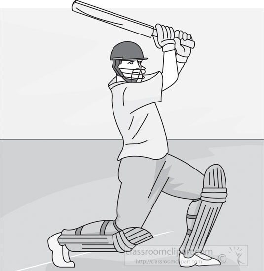 cricket_16_gray.jpg