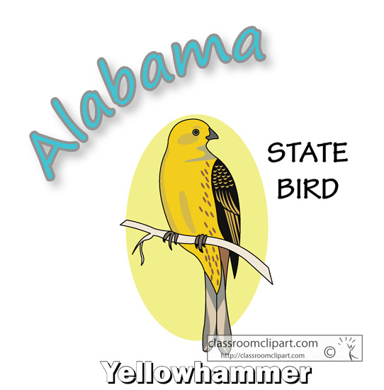 alabama_state_bird_yellowhammer.jpg