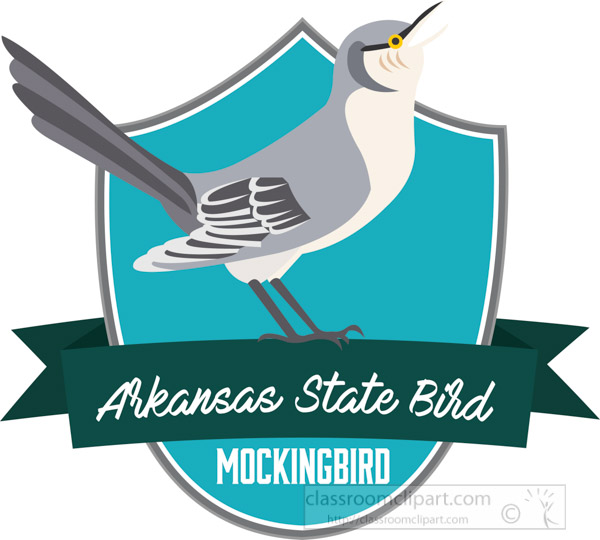 state-bird-of-arkansas-mockingbird-vector-clipart.jpg
