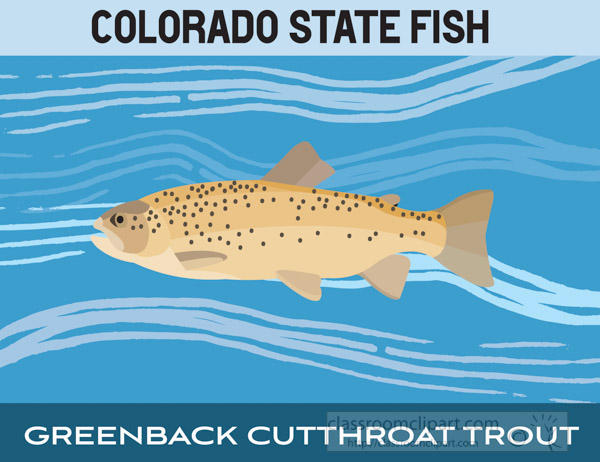 colorado-state-fish-greenback-cutthroat-rout-clipart-image.jpg