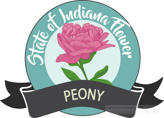 state-flower-of-indiana-peony-clipart-image-6125.jpg