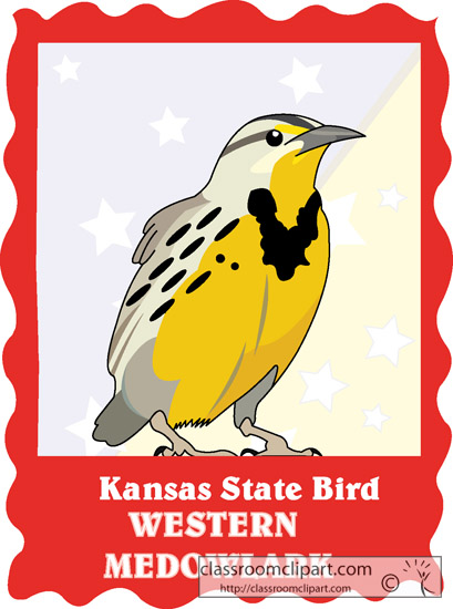 kansas_state_bird_western_meadowlark.jpg