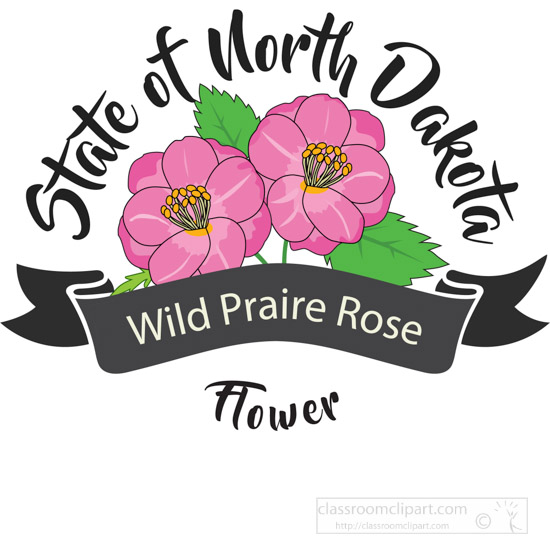 state-flower-of-north-dakota-wild-praire-rose-clipart-image-612568.jpg