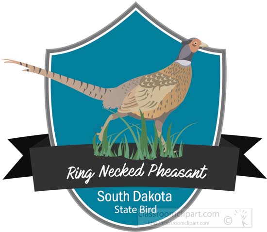 state-bird-of-south-dakota-ring-necked-pheasant-clipart.jpg