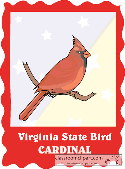 virginia_state_bird_cardinal.jpg