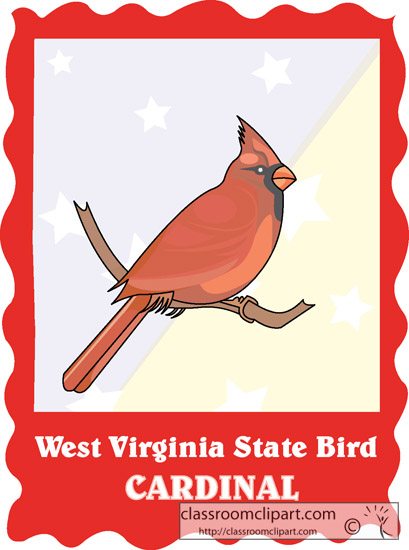 west_virginia_state_bird_cardinal.jpg