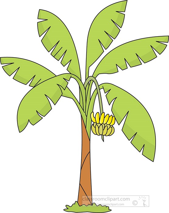 banana-tree-clipart.jpg