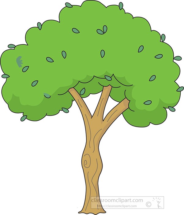 green-tree-with-leaves-clipart.jpg