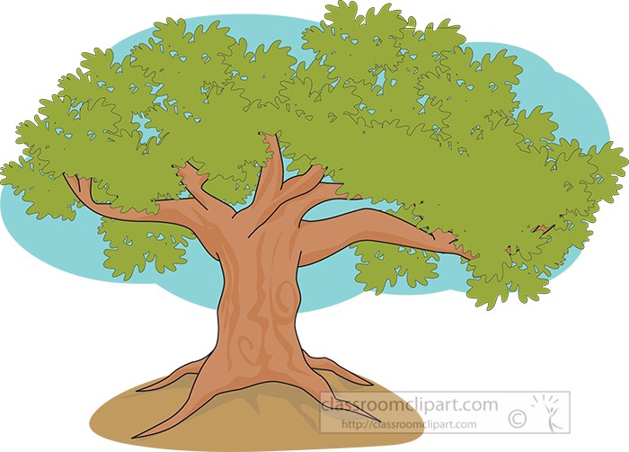 large-oak-tree-clipart.jpg