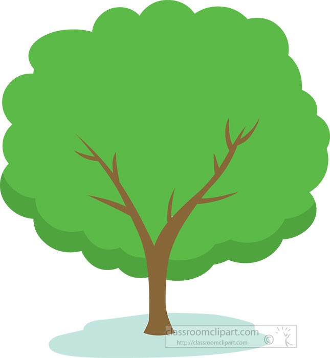 seasonal-tree-green-summer-clipart.jpg