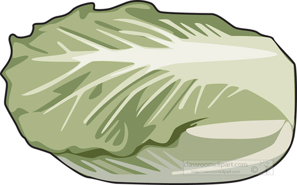 chinese-cabbage-clipart.jpg