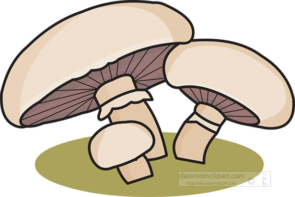 group-of-three-mushrooms-clipart.jpg