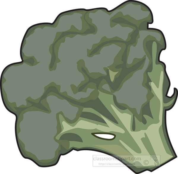 head-of-broccoli-clipart.jpg