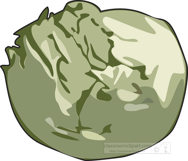 head-of-cabbage-clipart.jpg