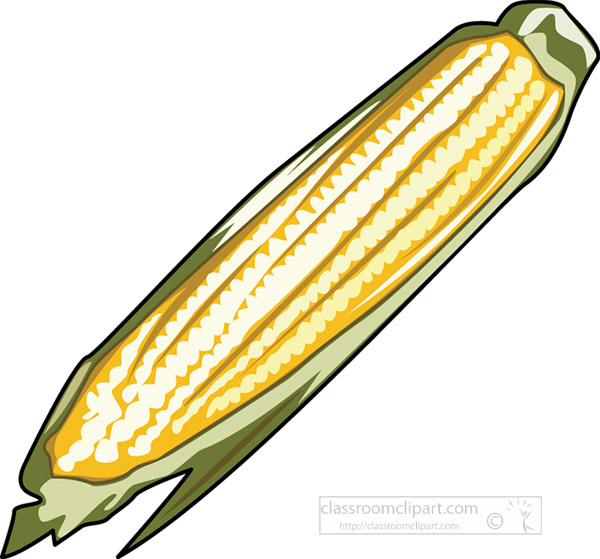 single-ear-of-corn-clipart.jpg