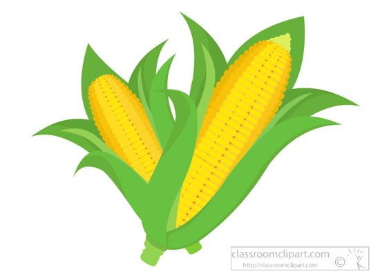 ear of corn clipart