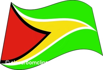 Guyana_flag_2.jpg