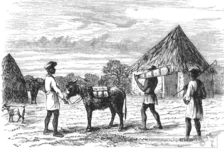 Historic-Illustration-of-Africa-031.jpg