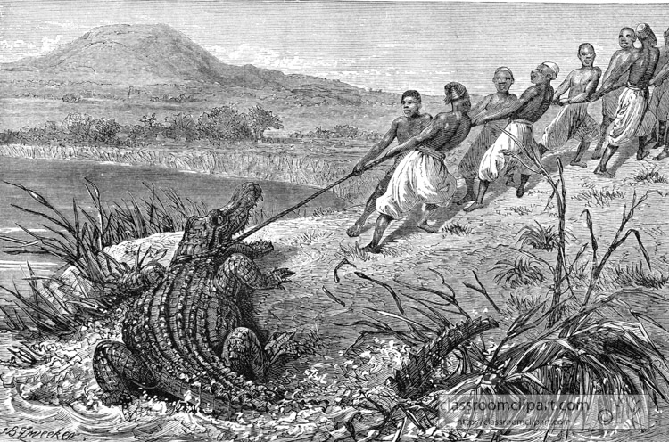 dragging-a-crocodile-to-land-historical-illustration-africa.jpg