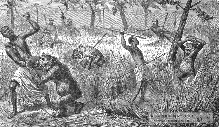 hunters-killing-gorillas-in-africa-historical-illustration-africa.jpg