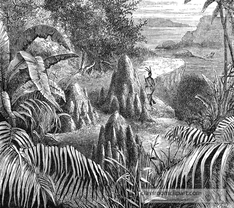 nests-of-white-ants-in-africa-historical-illustration-africa.jpg