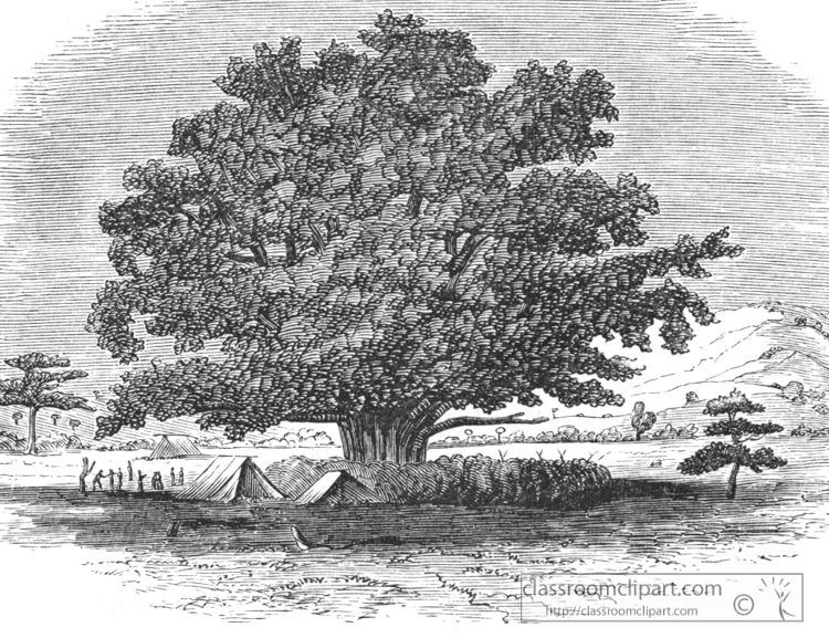 place-under-a-sycamore-historical-illustration-africa.jpg