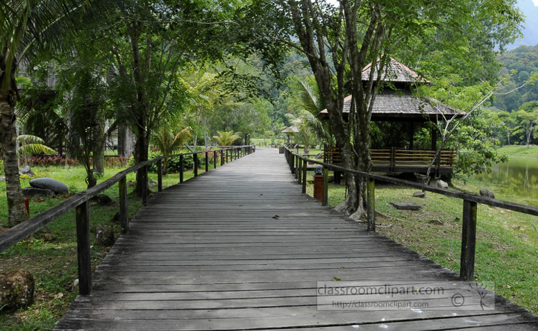 Borneo_1417a.jpg