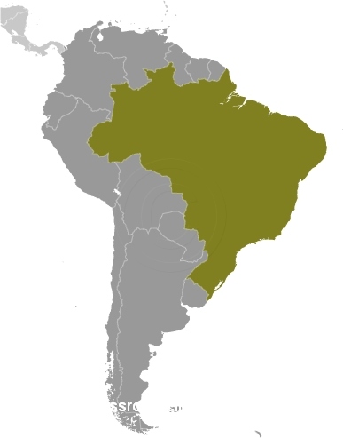 brazil_map_2.jpg